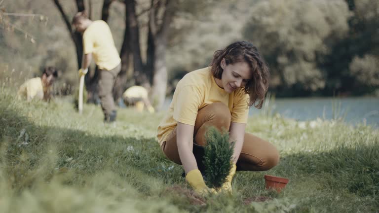 Lawn Watering Services in Robbins, IL